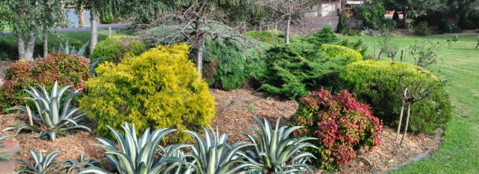 Templestowe gardeners in Melbourne.
